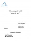 Informe experimental ‘fuerza de rose’