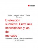 Mercado Laboral Y Capital Humano