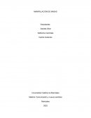 MANIPULASION DE MASAS