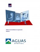 Sustentabilidad en la organización