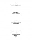 TRABAJO RIESGO DE CÁNCER