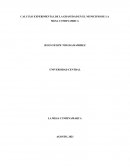 CALCULO EXPERIMENTAL DE LA GRAVEDAD EN EL MUNICIPIO DE LA MESA CUNDINAMRCA