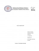 Guía de observación para detectar rasgos de depresión en niños de 5 a 7 años