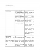 Análisis Cadena de Valor