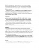 Mayas, Aztecas e Incas resumen breve