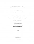 Ensayo seguridad desarrollo de aplicaciones