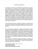 Comportamiento organizacional . ¿Cuál será la clave para competir en el capital humano?