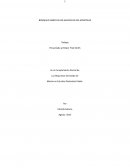 BOSQUEJO LIBRO DE LOS HECHOS DE LOS APOSTOLES