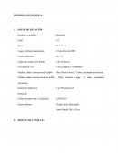 HISTORIA PSICOLOGICA colegio “Los Precursores”