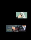 Evaluación de desempeño