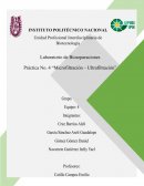 Reporte Practica Membranas