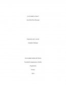 ¿La levedad o el peso?