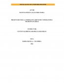 SERVICIOS Y OPERACIONES MICROFINANCIERAS