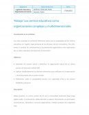 Trabajo: Los centros educativos como organizaciones complejas y multidimensionales