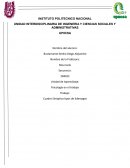 Cuadro Sinóptico tipos de liderazgos