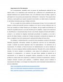 Importancia Mecanizacion del Trabajo