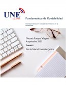 Antecedentes históricos de la contabilidad Noemi