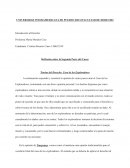 Teorías del Derecho: Caso de los Exploradores