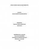 ENSAYO SOBRE PLANES DE MANTENIMIENTOS