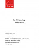 Caso Mieles del Maipo