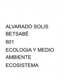 Maqui o Mediterraneo