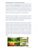 DETERMINACIÓN, ANÁLISIS Y JUSTIFICACIÓN DEL PRODUCTO