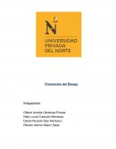 Prevención del riesgo externo Inka Toys