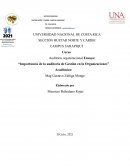 Importancia de la auditoria en las organizaciones