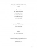 QUESO DOBLE CREMA DE LECHE VACUNO