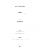 Ensayo Naranja mecánica