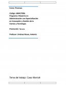 Tema del trabajo: Caso Marriott