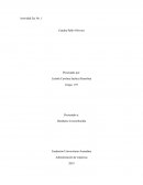 Humanismo en la formación educativa