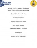 Anteproyecto Helados – VIDAHAOS Mercadotecnia