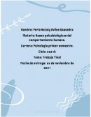 Delfin y humano diferencia