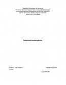 LENGUAJE AUDIOVISUAL