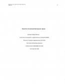 Síntesis de la normatividad agraria vigente. GA1-210001008-AA1