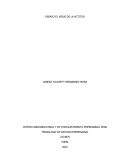 Virus de la actiitud