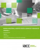 Higiene industrial, agentes físicos.quimicos y bilologicos