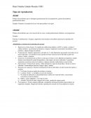 Tipos de reproducción