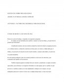 GESTION DE CAMBIO ORGANIZACIONAL