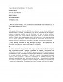 CAPACIDAD ESTRATEGICA EN PLASCO