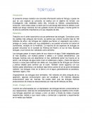 Ensayo de la tortuga a fondo (hablando de los tres tipos)