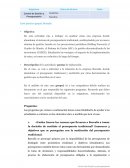 Caso práctico grupal: Borealis