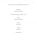 Estudio de caso sobre las generalidades de la microeconomía
