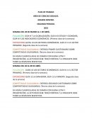 PLAN DE TRABAJO AREA DE CIENCIAS SOCIALES