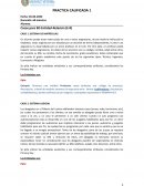 Casos para BD Entidad-Relación (E-R)