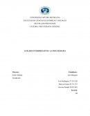 ANÁLISIS INTERPRETATIVO: LA PSICOTERAPIA