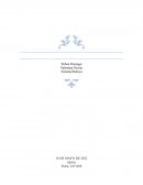 El Buen Vivir Del Colombiano Promedio