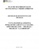 PLAN DE SEGURIDAD SALUD OCUPACIONAL Y MEDIO AMBIENTE