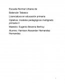 Guion de ficha y cuadernos de trabajo